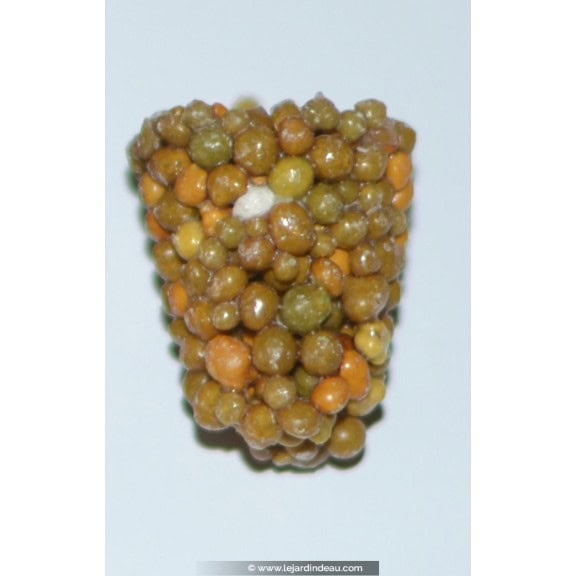 Engrais &agrave; diffusion lente - Osmocote