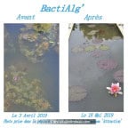 BactiAlg' BactiAlg'