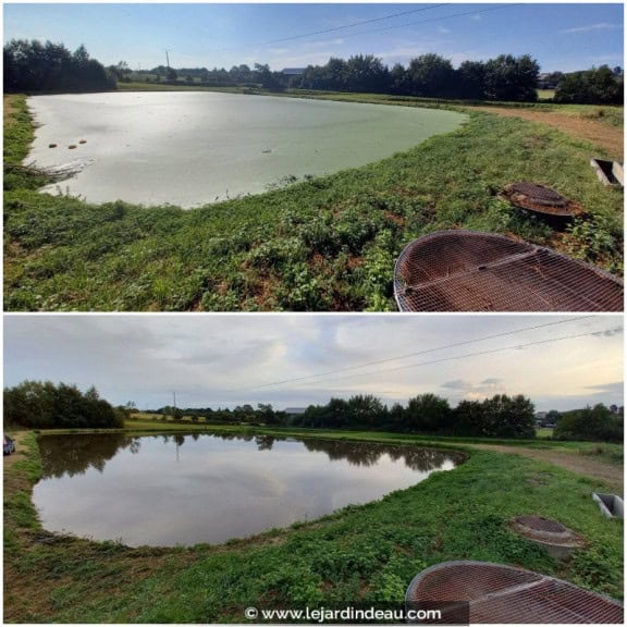 Prestation Aspilentilles (AVANT / APR&Egrave;S) pour une lagune de 2500 m&sup2;