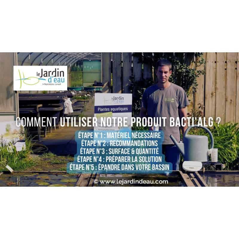Bactifond Bactifond