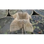 Tontine naturelle en toile de jute Tontine naturelle en toile de jute
