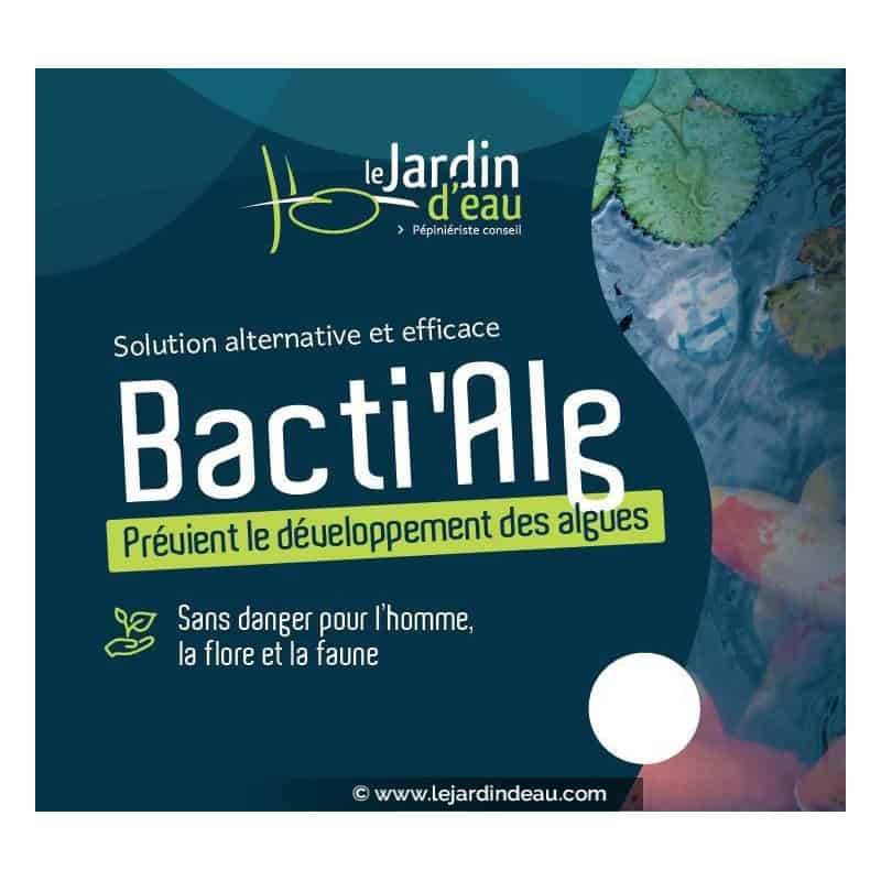 BactiAlg' BactiAlg'