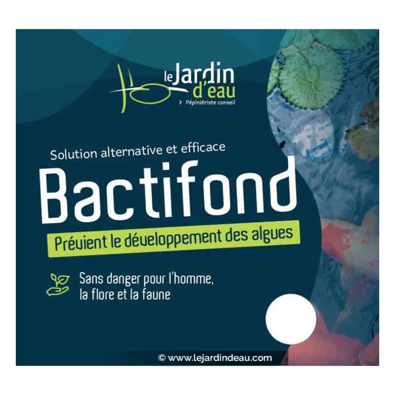 Bactifond Bactifond