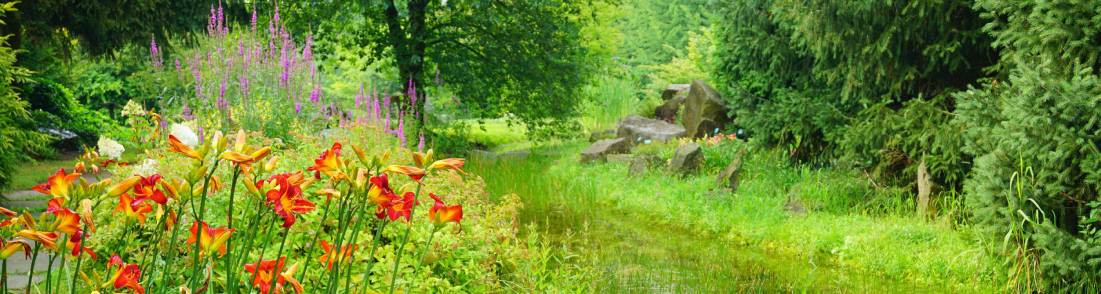 Jardin de pluie