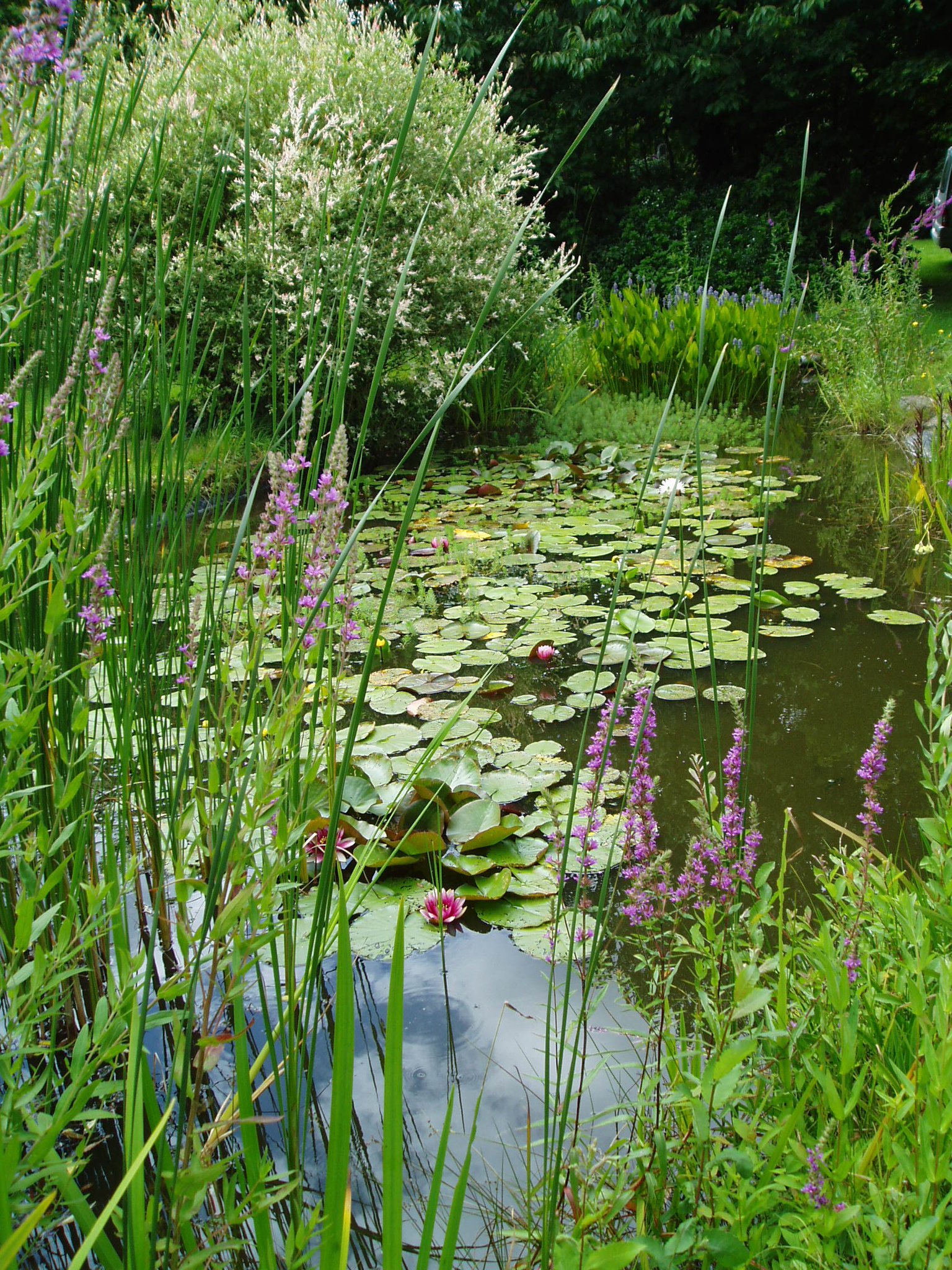 Les points d'eau - bases communes